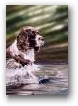   &raquo; Click to zoom ->