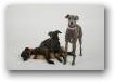   &raquo; Click to zoom ->