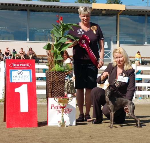 Dog Show Oulu, FIN